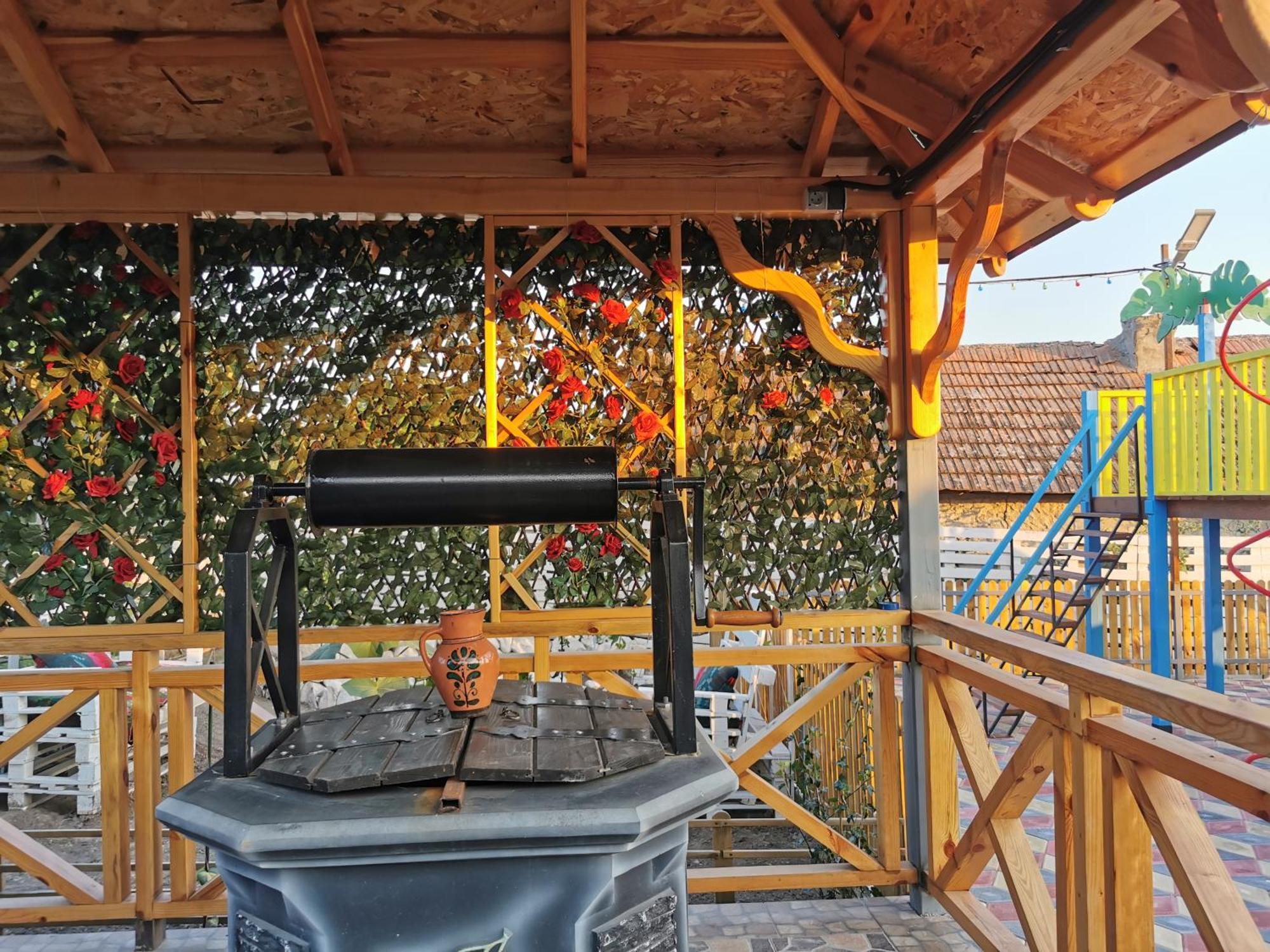 Bed and Breakfast La Madalina Selemet Exterior foto