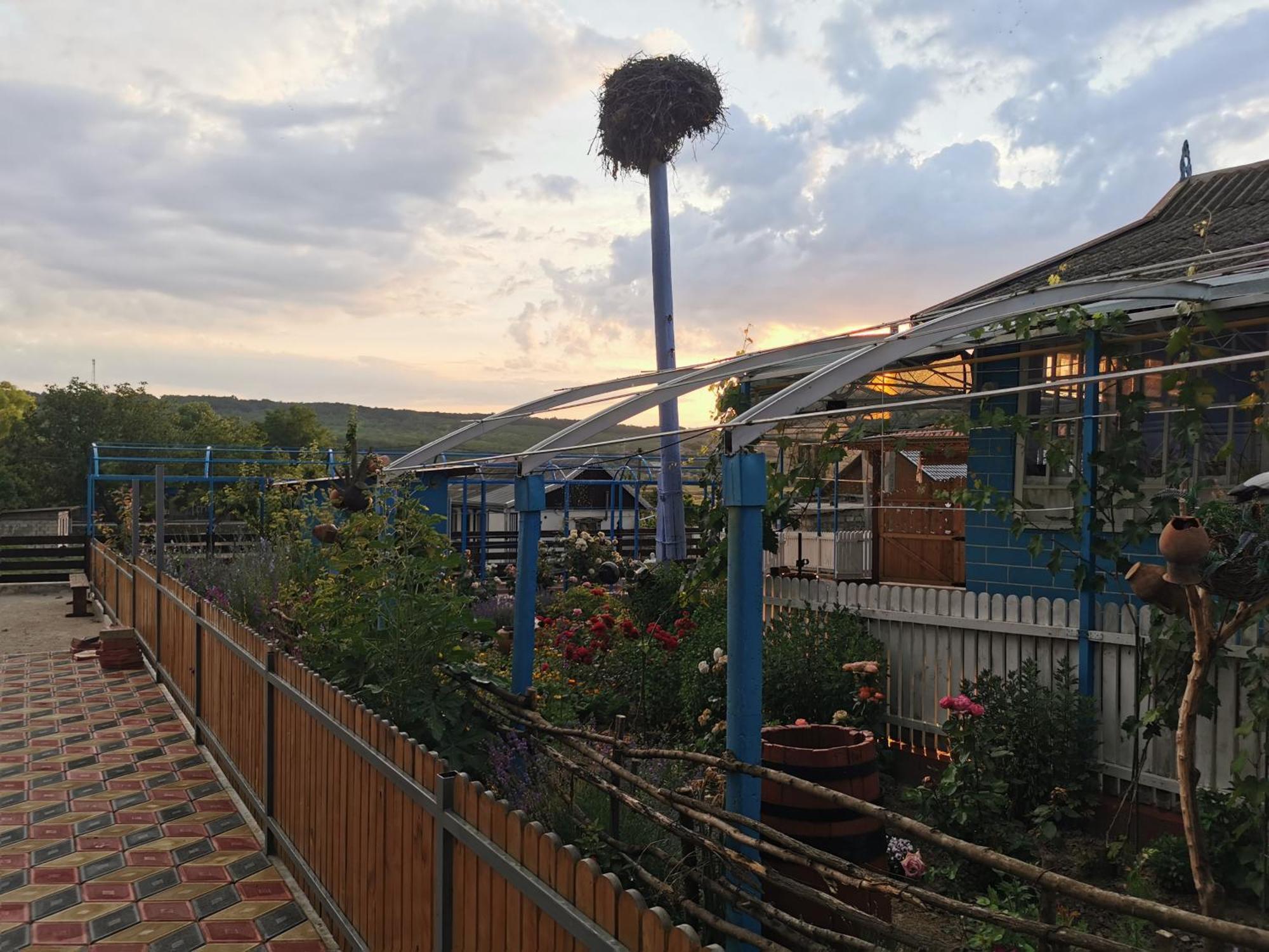 Bed and Breakfast La Madalina Selemet Exterior foto