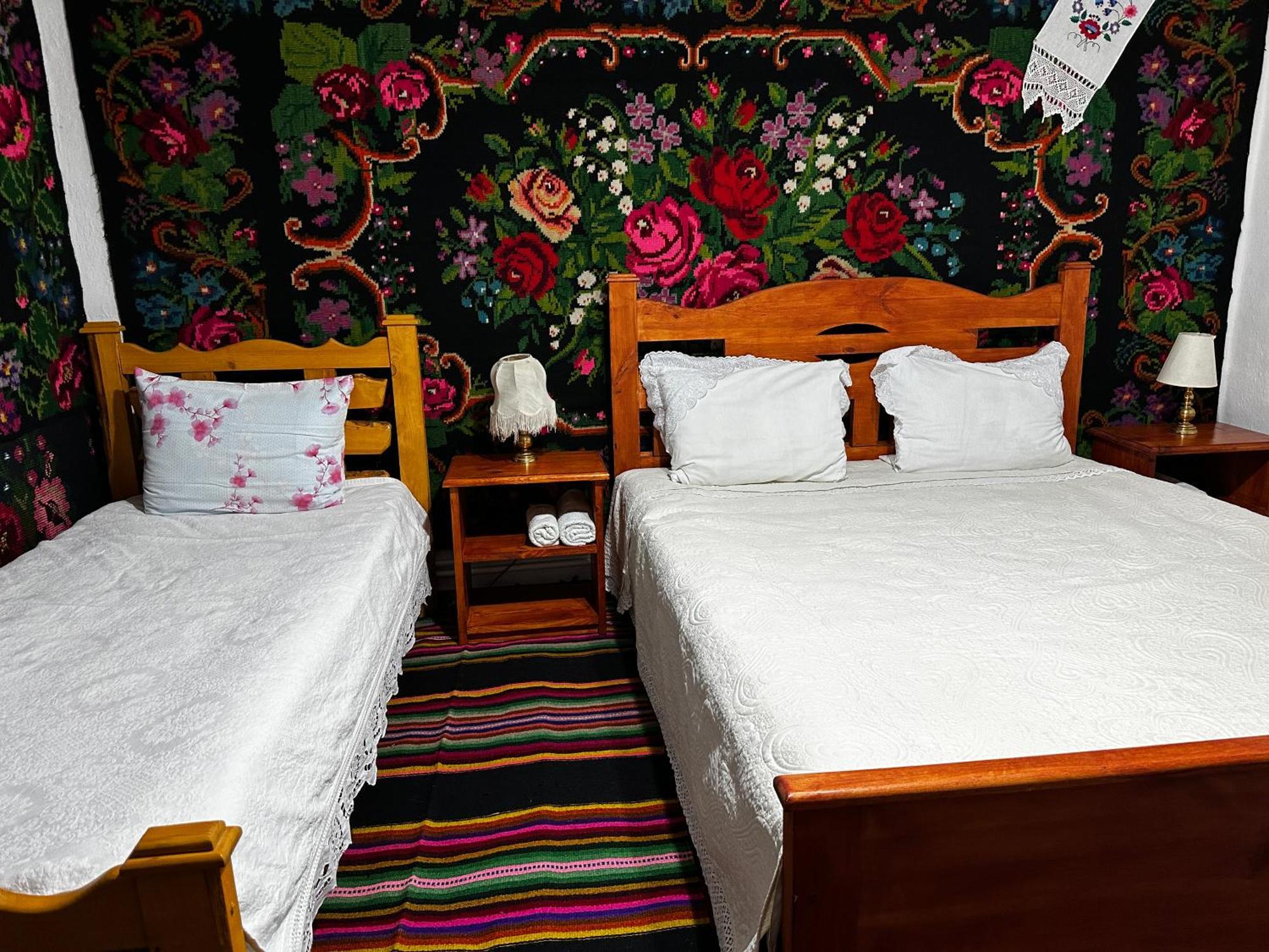 Bed and Breakfast La Madalina Selemet Exterior foto